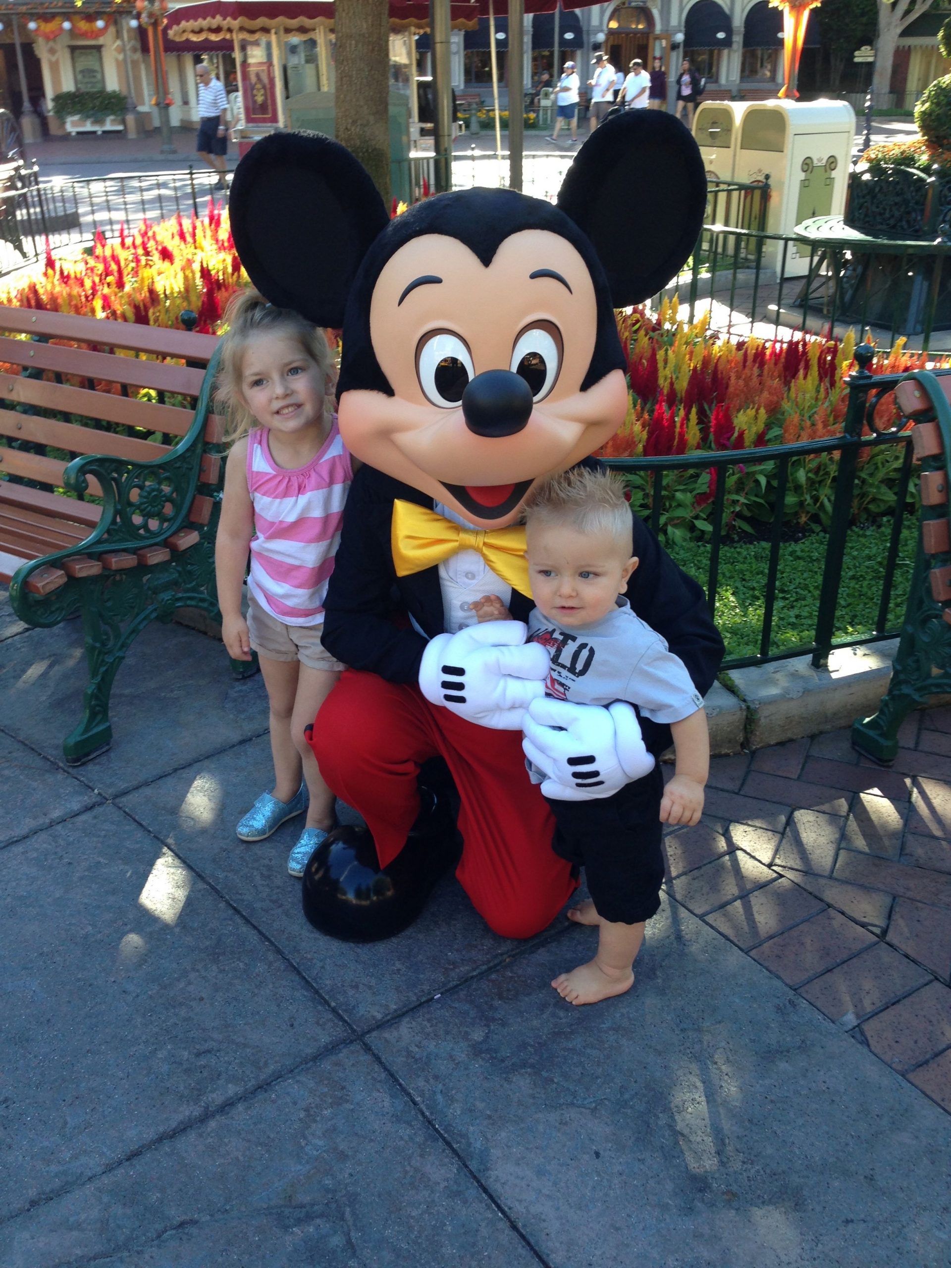 Want To Go To Disneyland Or Disney World With Me? - Freebies2deals