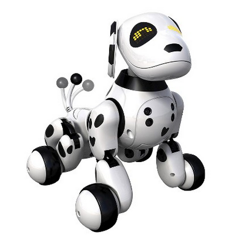 freebies2deals-zoomer