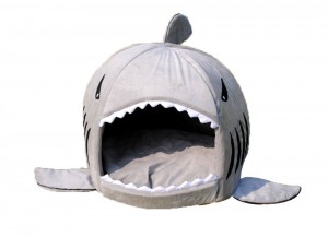 grey-shark-bed