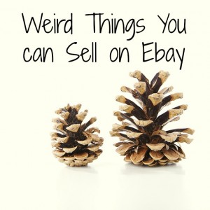 weird things you can sell on ebay