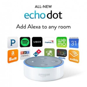 echo