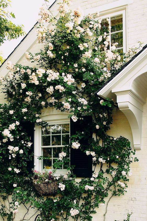 how-to-decorate-your-home-with-roses-2