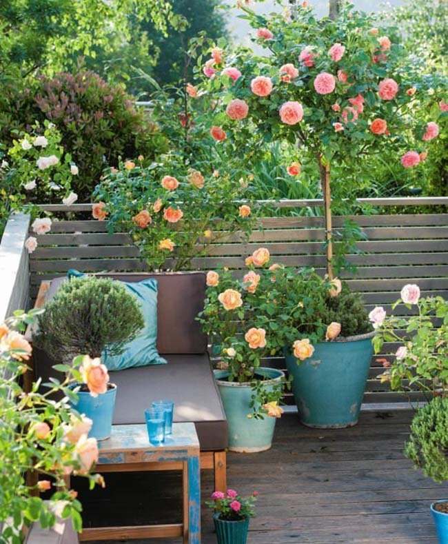 how-to-decorate-your-home-with-roses-4