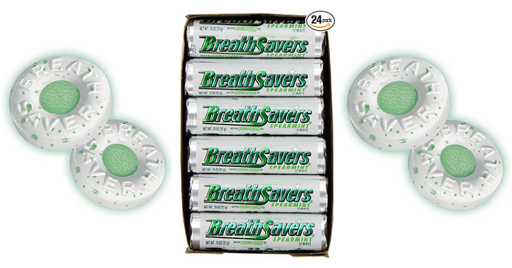 spearmint 24 oz standard mouth, princeton