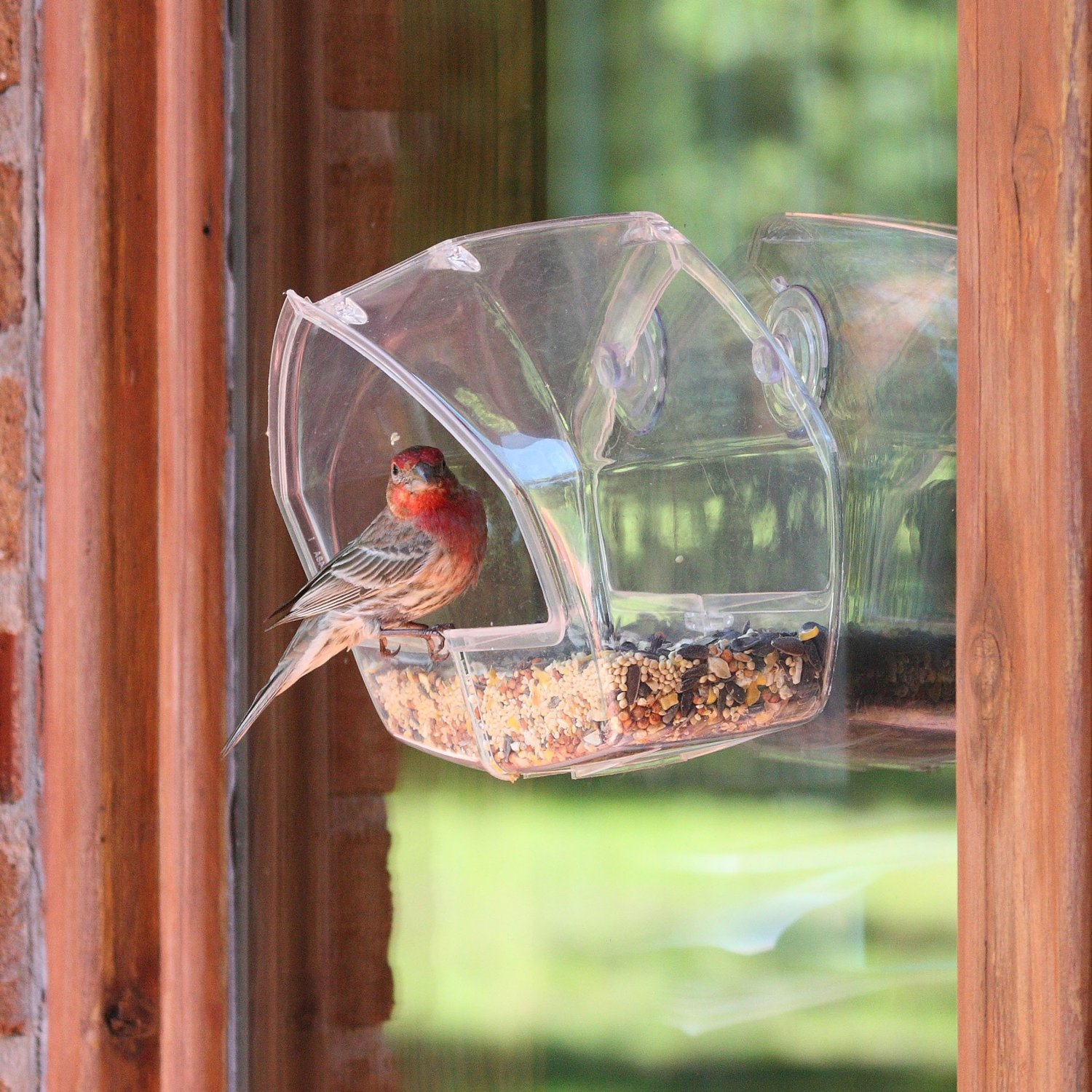 freebies2deals-birdfeeder