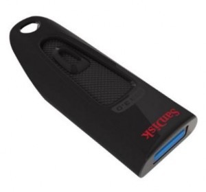 sandisk