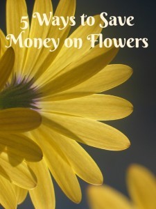 5 ways to save money on flowers