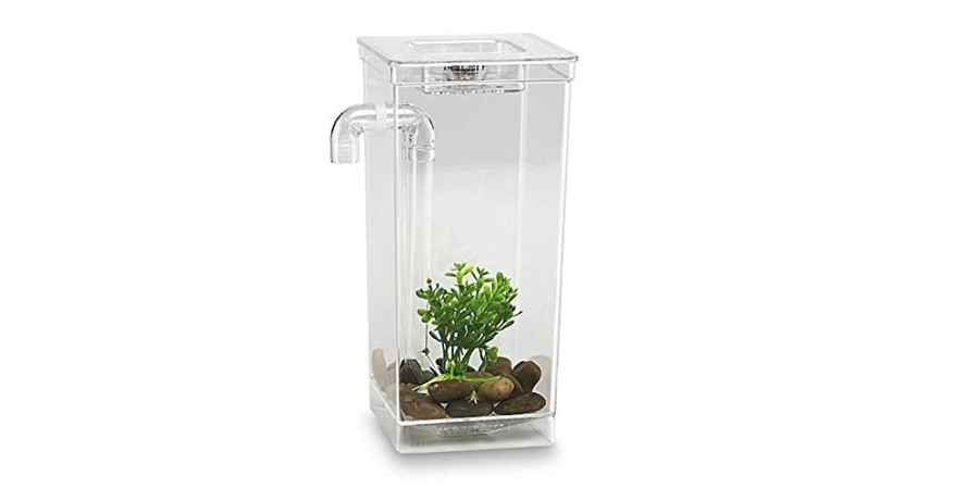 self cleaning fish tank