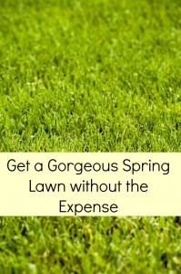 spring lawn