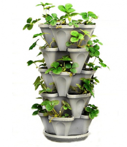 5 tier strawberry planter