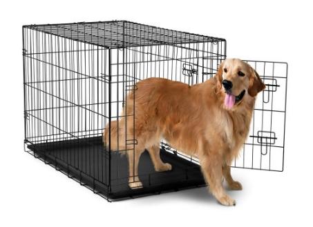 dogcrate