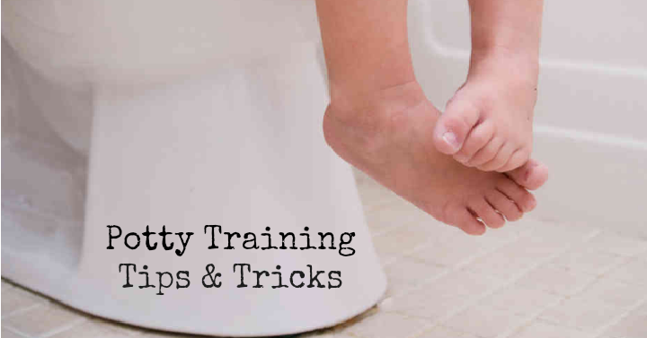 potty training f2d