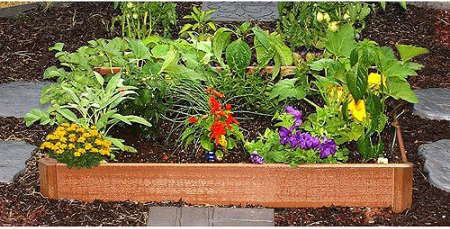 raised garden bed kit