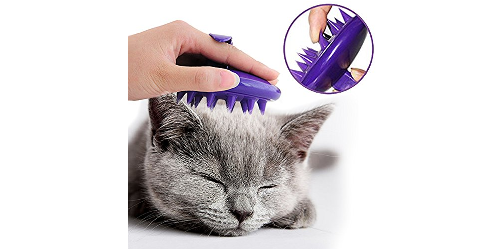 cat grooming massage
