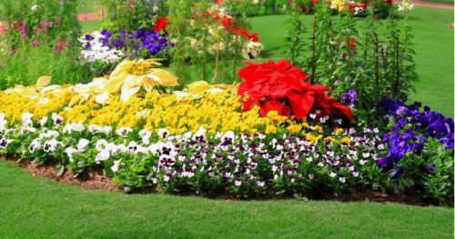 5 Tips For a Successful Flower Garden - Freebies2Deals