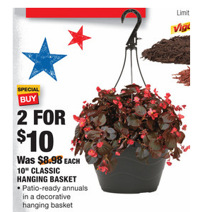 Home Depot Purchase 2 Hanging Basket For Only 10 Common Sense With Money