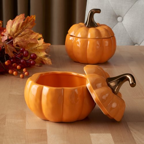 Set of Two Pumpkin Bowls With Lids Only $5.97! - Common Sense With Money