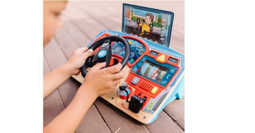 paw patrol dashboard